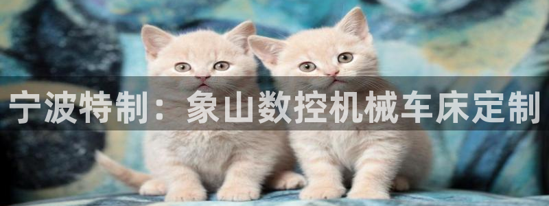 天辰娱乐游客:宁波特制:象山数控机械车床定制
