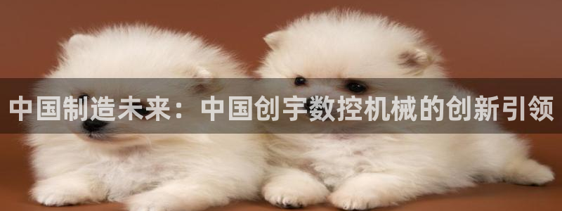 天辰娱乐扣钱:中国制造未来:中国创宇数控机械的创新引领
