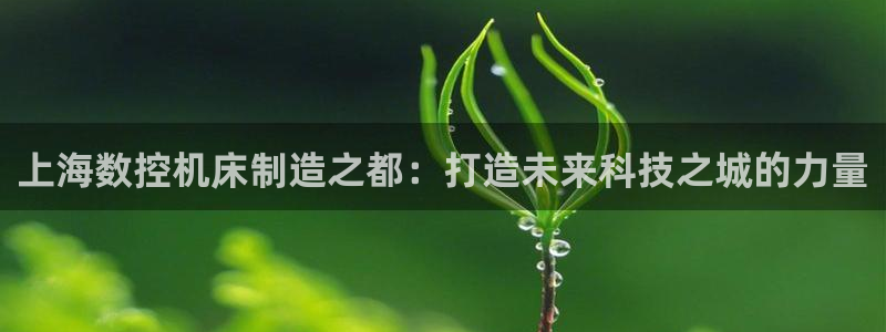 常州天辰娱乐:上海数控机床制造之都:打造未来科技之城的力量